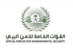 خادم الحرمين الشريفين يوجّه أن يكون يوم غدٍ الأربعاء إجازة لجميع الموظفين في كافة قطاعات الدولة والقطاع الخاص والطلبة والطالبات في جميع المراحل التعليمية