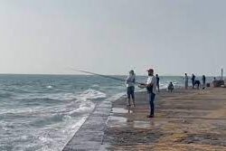 “الصحة”: تسجيل 51 حالة إصابة بكورونا.. وتعافي 62 خلال الـ24 ساعة الماضية