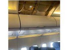 الأمن العام يطيح بـ 12 مخالفاً بحوزتهم كمية من الحطب المحلي المعروض للبيع