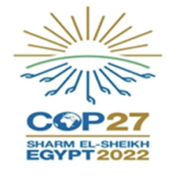 وكيل إمارة الباحة يفتتحُ مهرجانَ الزيتون الثاني أمام أكثر من 23 عارضاً لبيع منتجاتهم