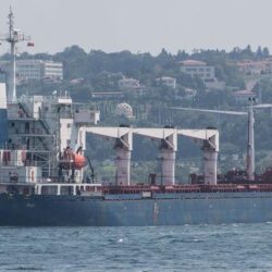 أسماء الصقور المشاركة في النسخة الخامسة من مهرجان الملك عبد العزيز للصقور 2022