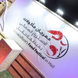 انطلاق مهرجان ” الزيتون ” في نسخته الثانية بتبوك