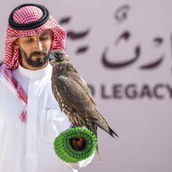استمرار تسجيل الصقور في مسابقة الملواح بمهرجان الملك عبدالعزيز