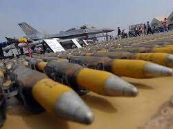 إدارة مهرجان الإبل تزرع 300 شجرة احتفالًا باليوم العالمي للتطوع