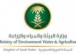 مهرجان “عذْق” يُعيد تقاليد الزراعة والحصاد وطهي الأكلات الشعبية في جازان