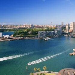 “شارع الدهناء” بمهرجان الملك عبدالعزيز للإبل يشهد زيادة في المواقع التجارية بلغت 300%