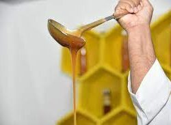 “صحة جازان” تنهي معاناة سفر الأسر للبحث عن علاج أطفالهم بإجراء ألف عملية ناجحة