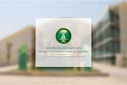 مجلس النواب الأمريكي يصوت على حظر محتمل لتطبيق TikTok