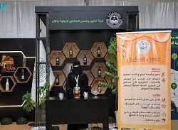 أمانة جازان تعالج مظاهر التشوه البصري بمركز وادي جازان