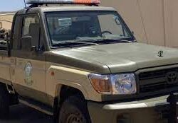 إطلاق نحو 280 دورية لحماية مواقع الغطاء النباتي ومراقبته في 13 منطقة حول المملكة