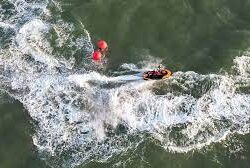 القبض على 46 مخالفاً لنظام أمن الحدود بحوزتهم نحو طن من نبات القات المخدر