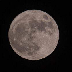 الصحف السعودية الصادرة اليوم