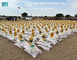 ارتفاع الإصابات بـ “حمى الضنك” في سنغافورة .. وتحذيرات من خطورة انتشار المرض