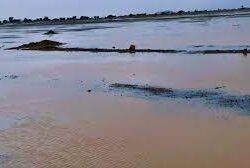 إتاحة إصدار تصريح العمرة في رمضان عبر تطبيق نسك