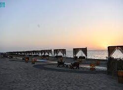 أمانة جازان ترفع أكثر من 11 ألف طن من النفايات بمحافظة الداير