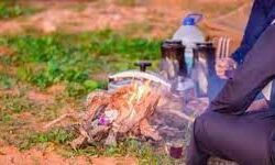 ولي العهد والرئيس الصيني يؤكدان على أهمية العلاقات الاستراتيجية التي تجمع بين المملكة والصين