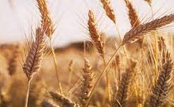 زيلينسكي: يجب فرض مزيد من العقوبات على الصناعة النووية الروسية