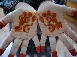 المجلس الأعلى للقضاء يوافق على إنشاء محكمة أحوال شخصية في جازان وتنظيم نظر دعاوى المساهمات العقارية