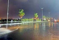 “الصحة”: تسجيل 343 حالة إصابة بكورونا.. وتعافي 372 خلال الـ24 ساعة الماضية