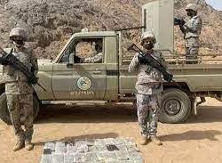 مخبأة في الأفران.. رجال الجمارك يحبطون تهريب 4 ملايين حبة كبتاجون بمنفذ البطحاء