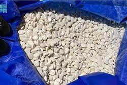 “السديس”: نجاح أكبر خطة تشغيلية لقاصدي الحرمين خلال شهر رمضان المبارك