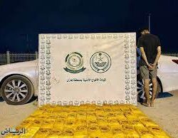 بأكثر من 3 مليارات ريال.. خادم الحرمين يُوجّه بصرف معونة رمضـان لمستفيدي الضمان الاجتماعي