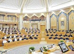 من أجل سلامة المواطنين.. “التجارة” تُعلن عن استدعاء 34 منعم أقمشة “THE LAUNDRESS”