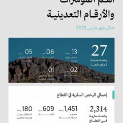 وزارة الصناعة والثروة المعدنية تصدر 27 رخصة تعدينية جديدة خلال شهر مارس 2023