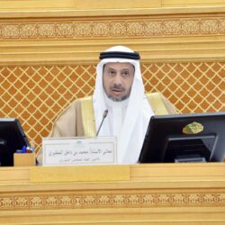 ” ثيران ، وغراب ، ورقبين” ثلاث جزر سياحية بمحافظة بيش تنتظر التطوير