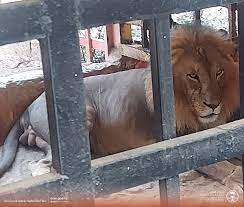 تحضيرًا لكأس آسيا .. الأخضر تحت 17 يتعادل وديًا مع إيران