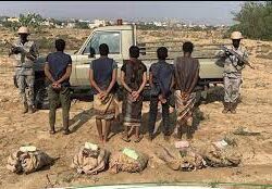 أمانة جازان تنفّذ 822 جولةً رقابيةً تفتيشيةً بمحافظة أبو عريش