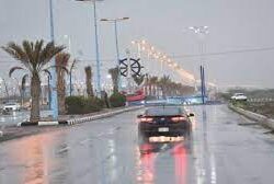 دوريات الأفواج الأمنية بمنطقة جازان تحبط تهريب (114) كيلو جرامًا من نبات القات المخدر