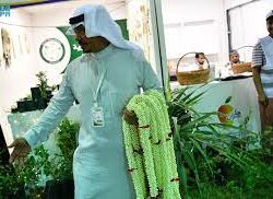 سمو أمير منطقة جازان يطلع على مهام المدينة الاقتصادية الخاصة بالمنطقة