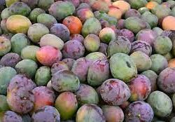 المركز الوطني للأرصاد: أمطار متوسطة إلى غزيرة على منطقة جازان