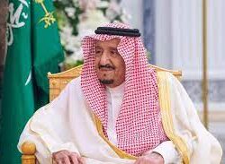 بينها 10 أسود ودُبان وتمساحان.. ضبط مُواطن بعسير لاقتنائه وعرضه كائنات فطرية دون ترخيص