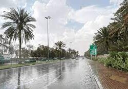 شرطة محافظة ضمد بمنطقة جازان تقبض على شخص لترويجه (114) كيلو جرامًا من نبات القات المخدر