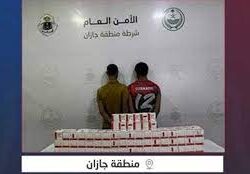 حرس الحدود بجازان يحبط تهريب (80) كيلوجرامًا من نبات القات المخدر