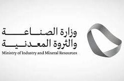 حرس الحدود بجازان يحبط تهريب (250) كيلوجرامًا من نبات القات المخدر