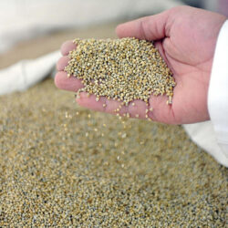 صحة جازان تنفذ برنامج ” قُل لا للمخدرات “