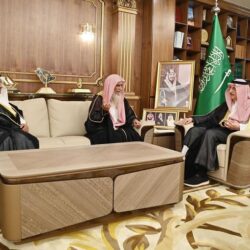 أمانة منطقة جازان تنفّذ ورشة عمل لمعالجة التشوه البصري