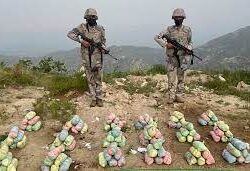 القبض على 9 أشخاص لترويجهم نبات القات المخدر بمحافظة الدائر