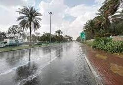 حرس الحدود بجازان يقبض على (5) مخالفين لنظام أمن الحدود لتهريبهم نبات القات المخدر