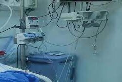 حرس الحدود بجازان يحبط تهريب (240) كيلوجرامًا من نبات القات المخدر