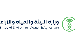 مكافحة المخدرات تقبض على مخالفين لنظام أمن الحدود بمنطقة جازان لترويجهما (39) كيلوجرامًا من مادة الحشيش المخدر