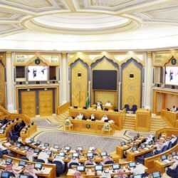 ضمن وفد سعودي يضم 22 جهة.. مجموعة stc تشارك في المنتدى السياسي رفيع المستوى في نيويورك