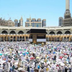 هيئة الاتصالات والفضاء والتقنية تطلق النسخة الثانية من حملة “صد المتصيد” للتوعوية من الرسائل والمكالمات والروابط الاحتيالية