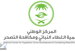 فرع البيئة بجازان ينفذ مشروع ” الخدمات الاستشارية للرفق بالحيوان “