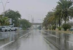 “تراثنا والعيد” .. مبادرة تستضيفها القرية التراثية بجازان