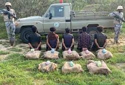 غرفة جازان تنظم ورشة عمل عن “خدمات مركز دعم المنشآت الصغيرة والمتوسطة بالمنطقة”