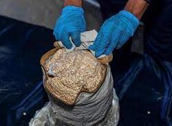 سمو نائب أمير منطقة جازان يستقبل الرئيس التنفيذي المكلف لمدينة جازان للصناعات الأساسية والتحويلية